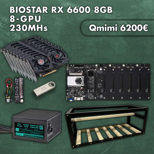 biostar rx 6600 8gb 8X copy